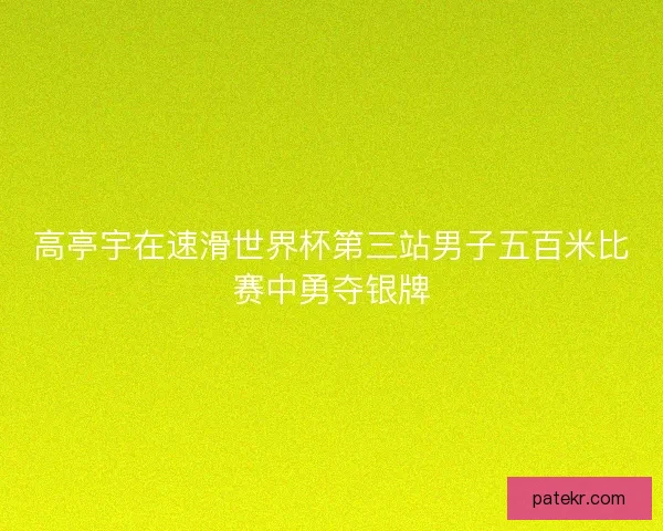 高亭宇在速滑世界杯第三站男子五百米比赛中勇夺银牌