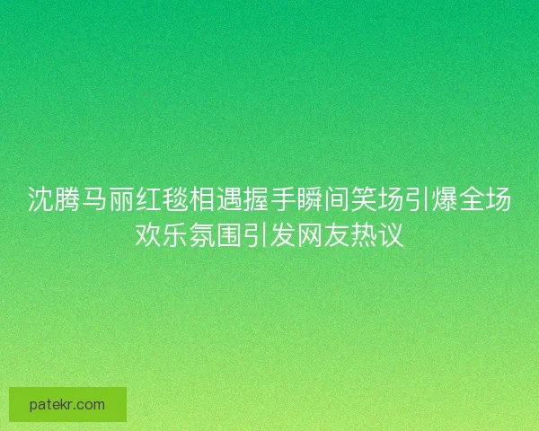 沈腾马丽红毯相遇握手瞬间笑场引爆全场欢乐氛围引发网友热议